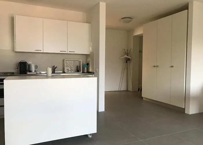 Muralto-locarno: Miramonti Apt. 17 *