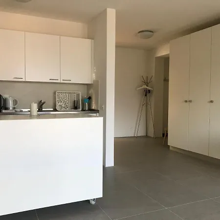 Muralto-locarno: Miramonti Apt. 17 *